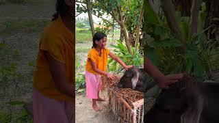 Jaise karni waise barni #shortvideos #shorts #shortsfeed