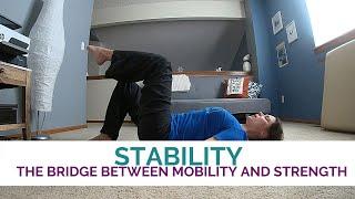 Stability - The Bridge Between Mobility and Strength