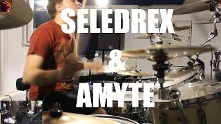 Richard Rapf - Seledrex & Amyte - Paranoxia (Drum Cover)