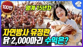 여고 졸업하고 귀농해서 닭 2,000마리 자연방사로 유정란 파는 청년농부