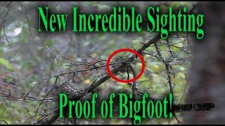 New Video and Proof of Bigfoot