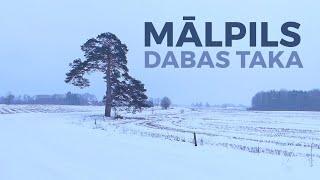 Mālpils dabas taka ziemā