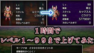 【ドラクエ３リメイク】これぞ究極のレベル上げ！１時間でレベル１から９９まで上げてみた　ネタバレあり【HD2Dドラクエ3】