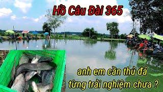 Điểm câu cá giải trí Hồ Câu Đài 365 nơi thỏa chí đam mê cho anh em cần thủ  @CauDaoSaiThanh