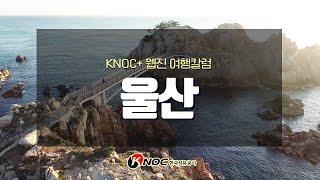 [KNOC+/웹진 여행칼럼] 드론으로 떠나는 고래의 도시, 울산!