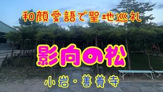 和顔愛語で聖地巡礼️小岩・影向の松うっちー感謝の旅2024年8月