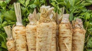 How to Cook with Parsley Root