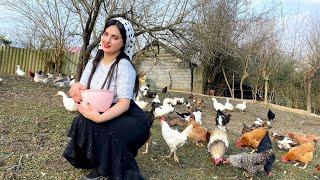 Village Girl Lifestyle Vlog: A Traditional Local Dish From Gilan | Rural Vlog