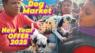 Galiff Street Pet Market Kolkata | dog market in kolkata | dog market in kolkata price | dogs