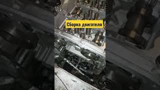 #fordtransit/ремонт двигателя/ремонт своими руками/форд ремонт