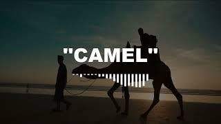 ''CAMEL'' - Amzz Dark UK Drill Type Beat 2024 (@smigzbeats X @esqxda001)