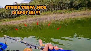 PANEN IKAN‼️PEMANCING PINGGIRAN PASTI NGILER MELIHAT INI || mancing ikan nila di waduk wonorejo