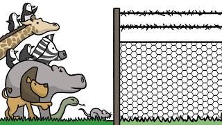 How to keep elephants and wolves out of your yard