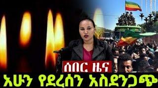 Breaking Ethiopia News NOW! | አሁን በኢትዮጵያ ውሰጥ እየተፈጸመ ያለው መረጃ | ethiopian news today 23 November 2024