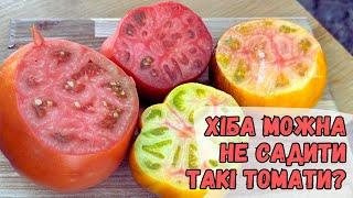 Хіба можна не садити такі томати?