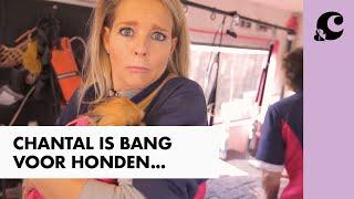 HOE DOET CHANTAL HET ALS EEN HONDENPSYCHOLOOG? - CHANTAL KOMT WERKEN - &C