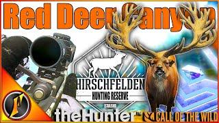 The MOST SATISFYING Diamond Red Deer! | theHunter Call of the Wild