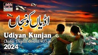 Udiyan Kunjan || Best Punjabi Song 2024 || Chishti Digital Sound 403 GB