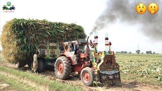 Tractor Stunt | Belarus 510 Ford 4000 MTZ50 Pulling out Maize loaded Trailer