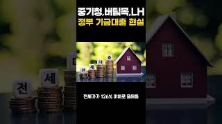 전세 구하려면 필수 체크! 정부대출 현실