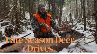 Late Season Maryland Deer Drives (Big Buck Down)!