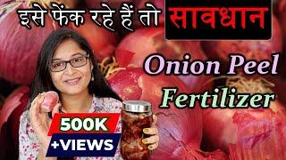 ONION PEEL FERTILIZER BENEFITS USES PRECAUTIONS/प्याज के छिलके की खाद #onionpeelfertilizer #plants