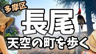 【多摩区の長尾】歴史と緑の天空の町を歩く！