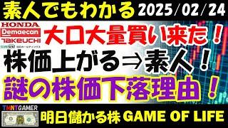 【明日のテンバガー株・高配当株】大口大量買い⇒株価は上がる⇒素人！ホンダ！出前館！住石ホールディングス！竹内製作所！実例から見た株価下落の理由！【20250224】