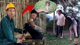 Poisonous Snakes and the Secret of Human Trafficking Conspiracy Tieu Huyen and De's Journey to Save?