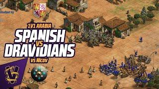 1v1 Arabia | Spanish vs Dravidians | vs Nicov