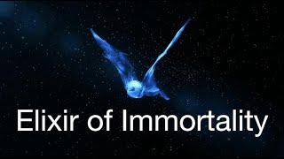 Elixir of Immortality - Only on One Condition Can You Live 1000 Years Like Noah Before