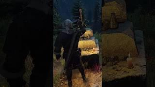 Interesting Hidden Details In The Witcher 3