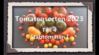 Tomatensorten 2023 Teil 4 - Stabtomaten I