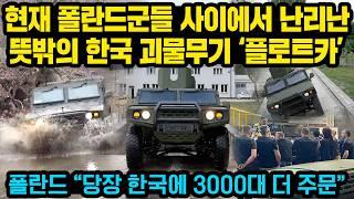 폴란드 현지에서 K2 보다 현재 더 극찬받고 있다는 뜻밖의 한국 괴물무기 “진짜 무기에 미친 한국인들 ㅋㅋㅋ” ”당장 3000대 더 주문”