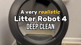 Deep Cleaning the Litter Robot 4 (very gross edition)