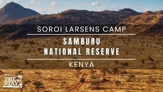 Samburu & Soroi Larsens Camp - A Luxury Desert Safari with Unique Animals in Kenya | The Stay TV