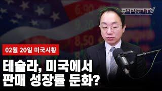 [미국마감] 테슬라, 미국에서 판매 성장률 둔화?