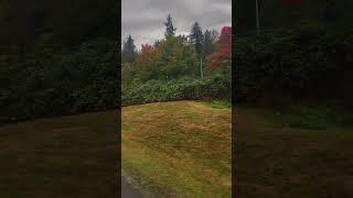 寻光同行01