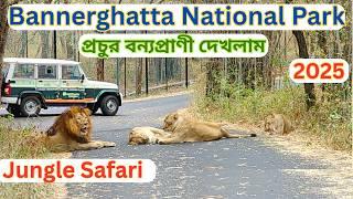 Bannerghatta National Park Safari || Bannerghatta zoo || 24 Lions,leopards & Tigers spotted ||