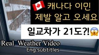 (*Eng) 캐나다 겨울 날씨 특징 Edmonton Weather | Street View #캐나다날씨