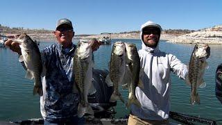 Hunting Turkeys and Catchin' Bass with Clark Wendlandt and Brandon Palaniuk