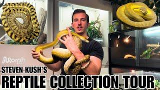 Private Tour Of The Nicest Scrub Python Collections In The World With Steven Kush