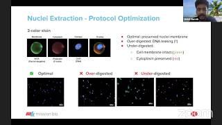 Understanding the sample preparation process for the single-cell DNA and protein workflow