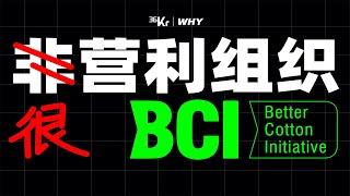 【36氪】从BCI，我们揭开了“非营利NPO组织”的生意经