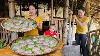 Harvesting Taro to make Taro cakes with sesame and Sugar Filling to sell at shops | Trieu Thi Thuy.