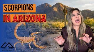 Everything You Need to Know About Scorpions in Arizona