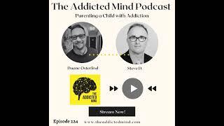 Short Clip: Episode 224 Steve D: The Addicted Mind Podcast