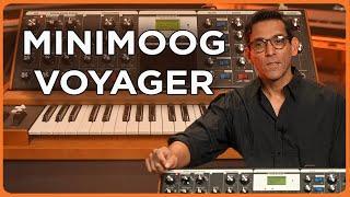 The Minimoog Voyager – A Modern Classic in Analog Synth Sound