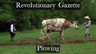 Spring Plowing - Revolutionary War Farm experience