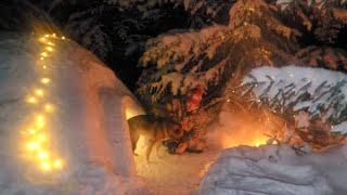 Needle Survival Shelter - Merry Christmas  Happy New Year 2024 - Bushcraft Skills - ASMR - No Talk